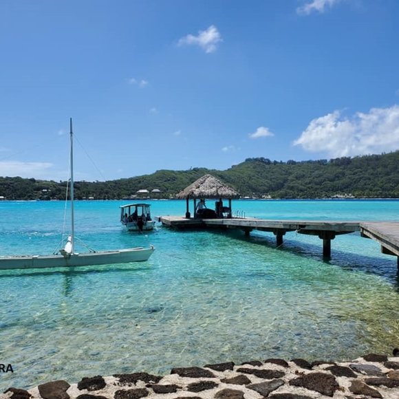 Meet your Posher, Janee - Picture 2 of 3